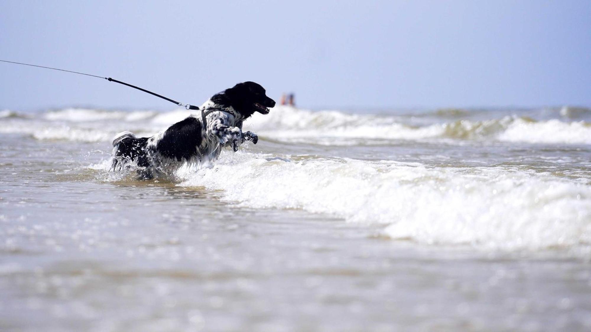 Paal 8 Hotel Aan Zee West aan Zee Kültér fotó